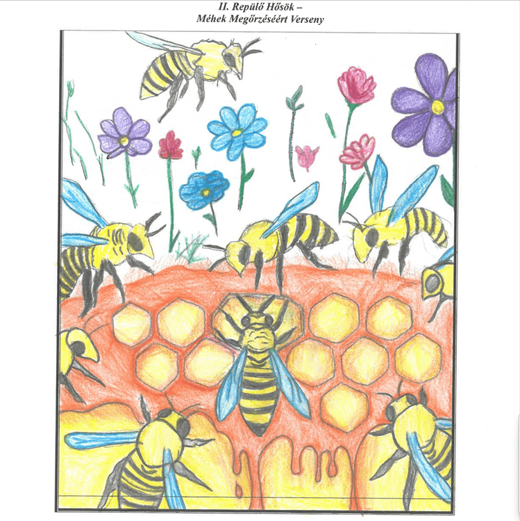 Döntőben a csapatunk!!!